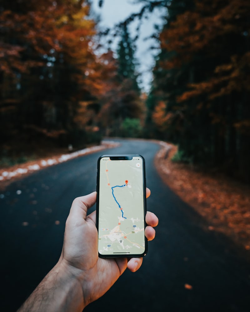 Google Maps mobile search