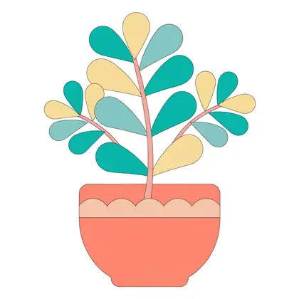 Succulent